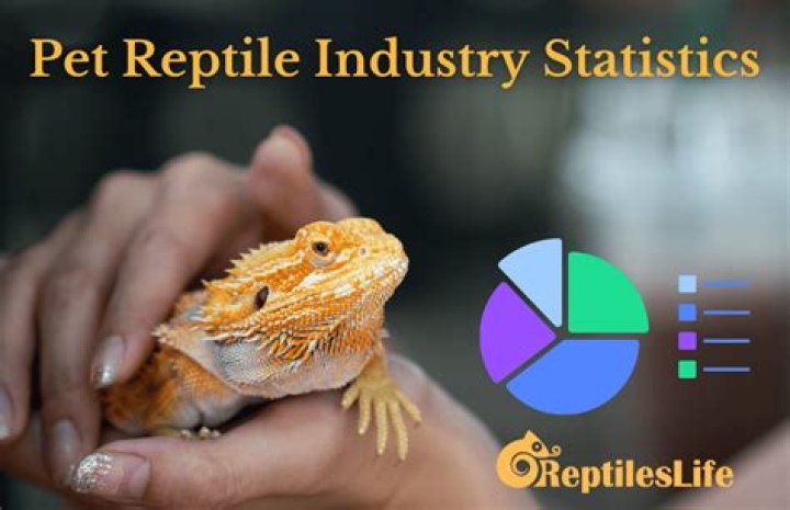 Reptile Channel video statistics
